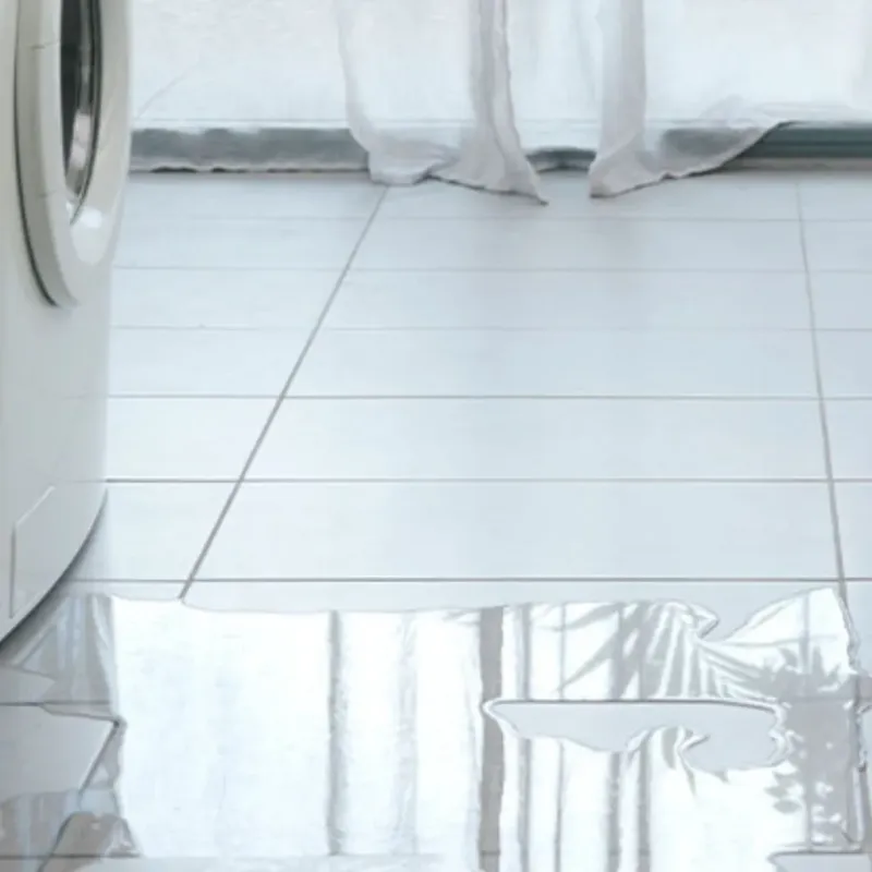 Appliance Leak Cleanup in Saint Martinville, LA
